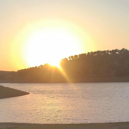 Nova Quinta Moderna Torramo Em Oliveiras, Campo De Laranjas, Na Nacional 2, Alentejo 13750 M2 Vila Torrão Exterior foto