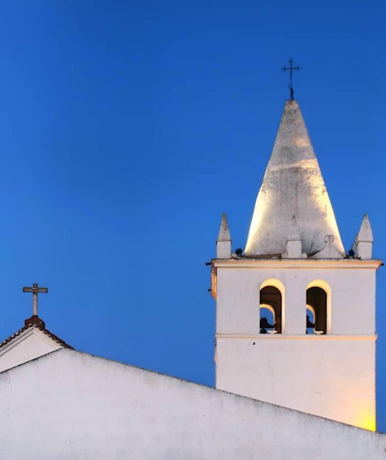 Nova Quinta Moderna Torramo Em Oliveiras, Campo De Laranjas, Na Nacional 2, Alentejo 13750 M2 Vila Torrão Exterior foto