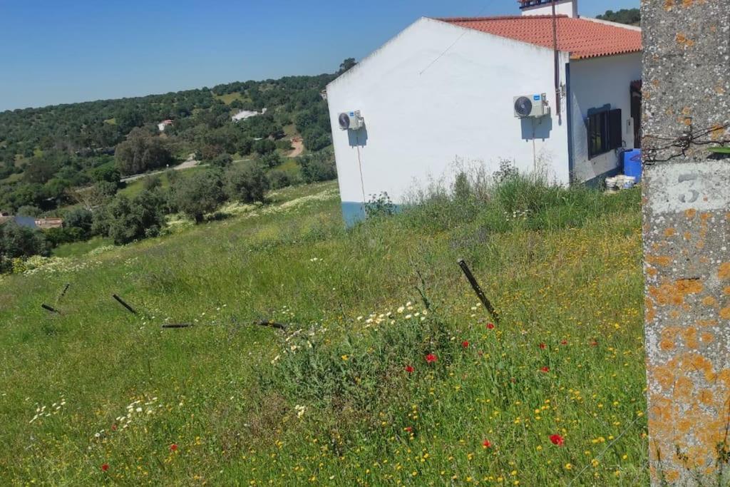 Nova Quinta Moderna Torramo Em Oliveiras, Campo De Laranjas, Na Nacional 2, Alentejo 13750 M2 Vila Torrão Exterior foto