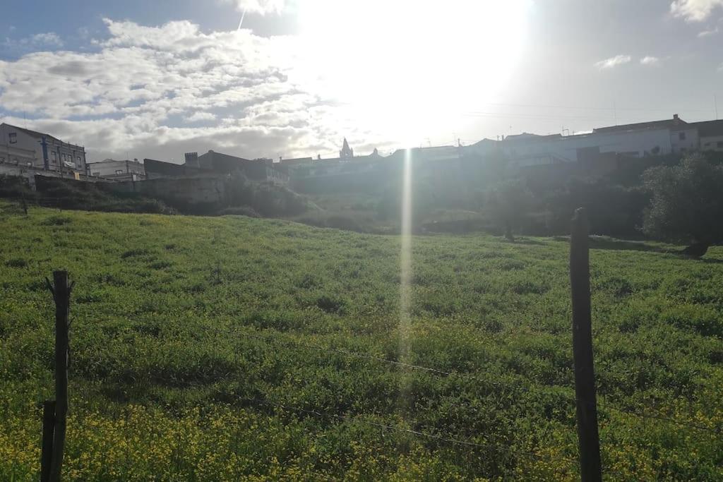 Nova Quinta Moderna Torramo Em Oliveiras, Campo De Laranjas, Na Nacional 2, Alentejo 13750 M2 Vila Torrão Exterior foto