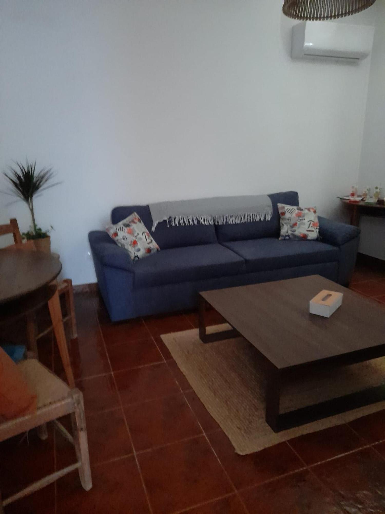 Nova Quinta Moderna Torramo Em Oliveiras, Campo De Laranjas, Na Nacional 2, Alentejo 13750 M2 Vila Torrão Exterior foto