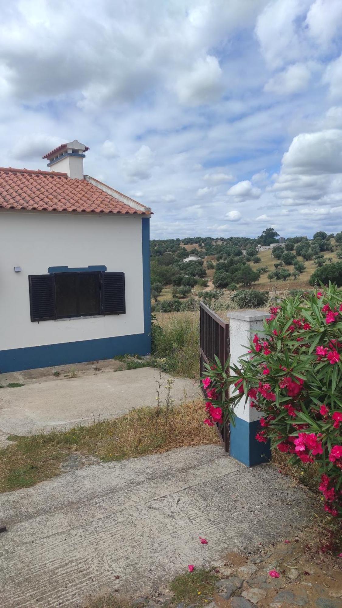 Nova Quinta Moderna Torramo Em Oliveiras, Campo De Laranjas, Na Nacional 2, Alentejo 13750 M2 Vila Torrão Exterior foto